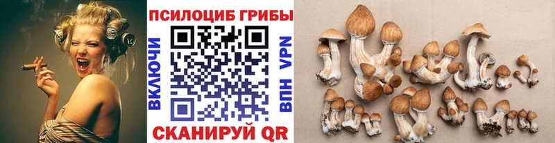 Галлюциногенные грибы ЛСД  Вольск 