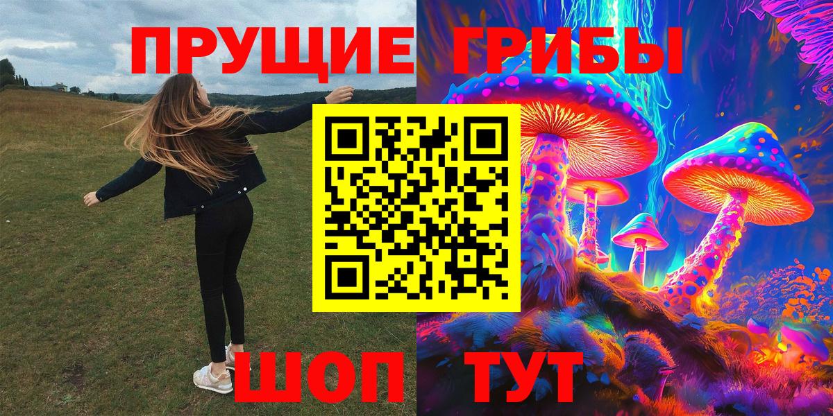 Вольск  Псилоцибиновые грибы GOLDEN TEACHER  Вход с VPN  Псилоцибиновые грибы прущие грибы 